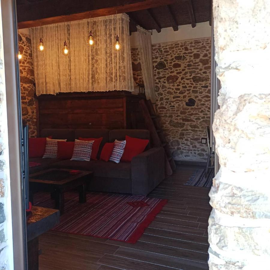 Areti'S Traditional House Apollona Kültér fotó